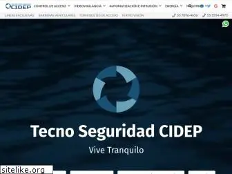 cidepsa.com.mx