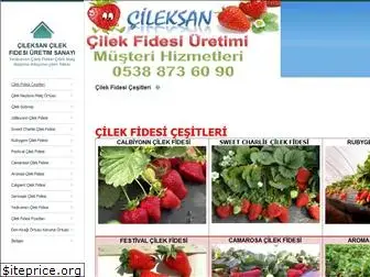 cileksan.com
