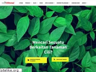 cilibangi.com