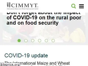 cimmyt.org