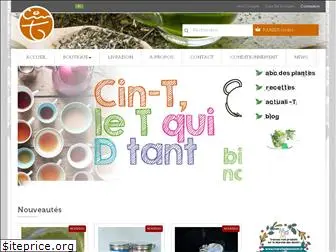 cin-t.com