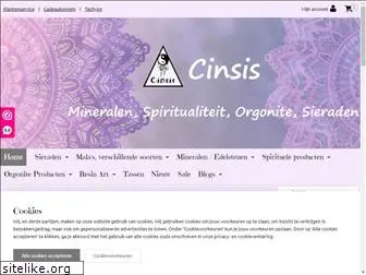 cinsis.nl