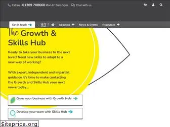 ciosgrowthhub.com