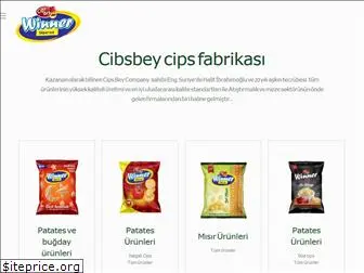 cipsbey.com