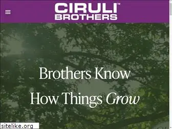 cirulibrothers.com