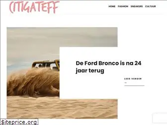 citigateff.nl