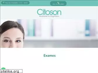 citoson.com.br