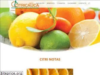 citricauca.com