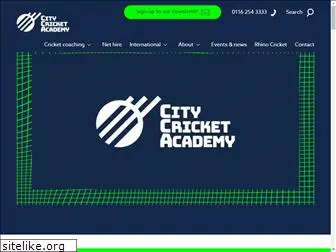 citycricketacademy.co.uk