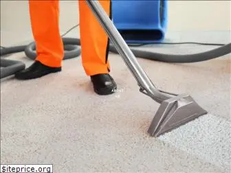 cjcarpetcleaningsandiego.com