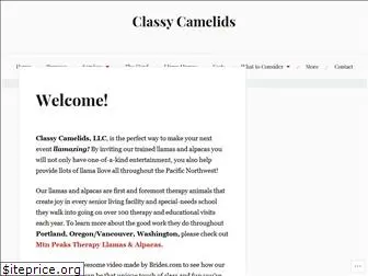 classycamelids.com