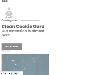cleancookieguru.com