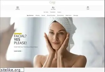 cleisespa.com