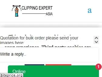 clippingexpertasia.com