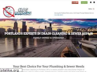 clogbustersllc.com