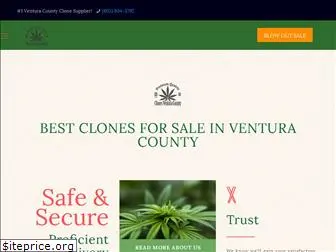 clonesventuracounty.com