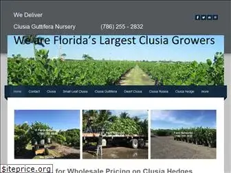 clusiaplants.com