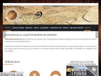 clusterminerosonora.com.mx