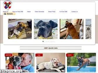 coastalboxers.org