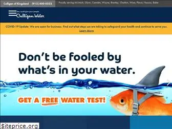 coastalculligan.com