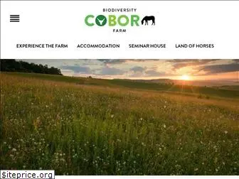 cobor-farm.ro