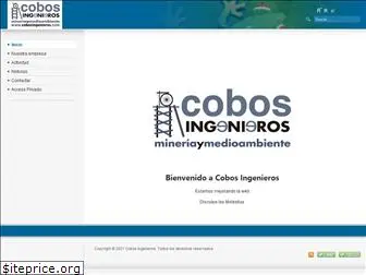 cobosingenieros.com