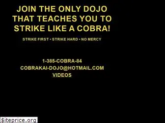 cobrakai.com