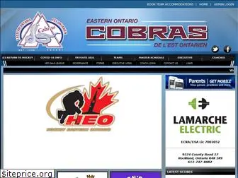cobrashockeyaa.net