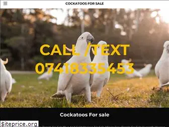 cockatoo.company.com