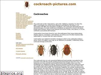 cockroach-pictures.com