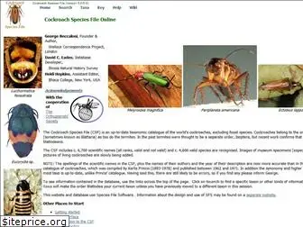 cockroach.speciesfile.org