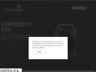 codaoctopus.com