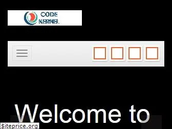 codekernel.net