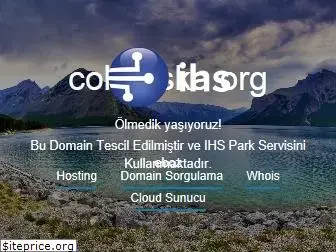 cokbaska.org