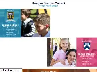 colegios-cedros-yaocalli.mx