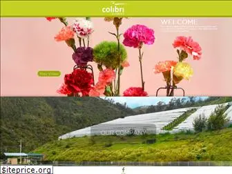 colibriflowers.com