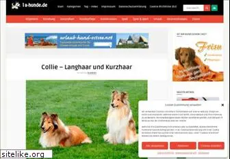 collie-zuechter.de