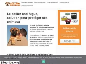 collier-anti-fugue.com