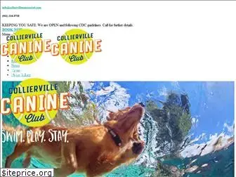 colliervillecanineclub.com