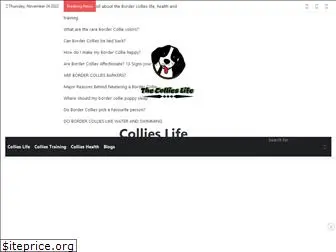 collieslife.com