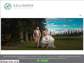 collisheen.co.za