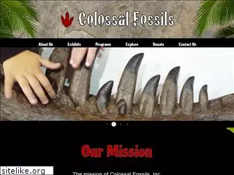 colossalfossils.com