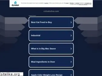 colsaludsa.com