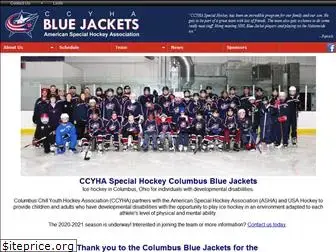 columbusspecialhockey.com