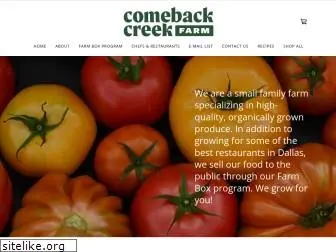 comebackcreek.com