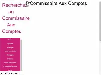 commissariat-aux-comptes.net