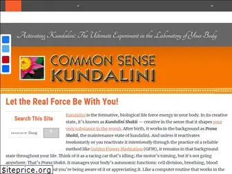 commonsensekundalini.com