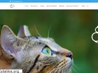communitycatcoalitionwa.org thumbnail