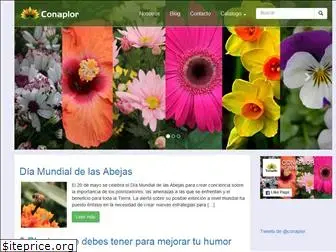 conaplor.com.mx