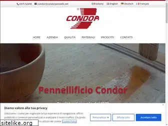 condorpennelli.net